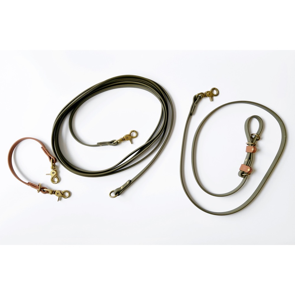 Strange Tails dog leash - long line / hands free